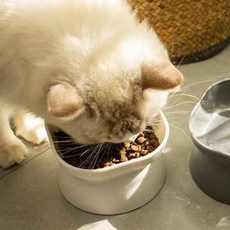 Bol de nourriture pour chat/ch - Baby Food Cat avis et prix