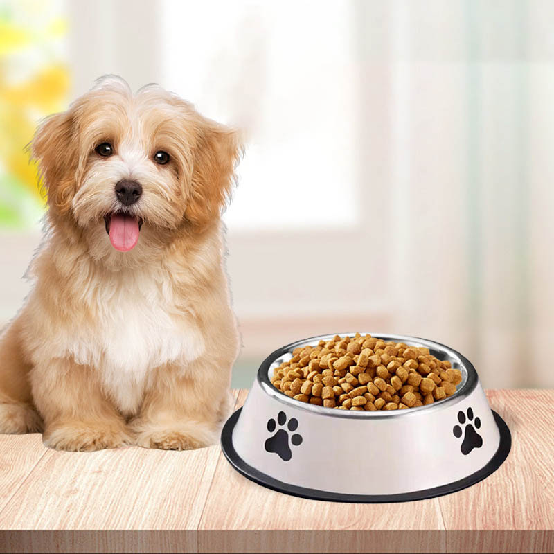 Bol pour animaux de compagnie  - Baby Food Cat avis et prix